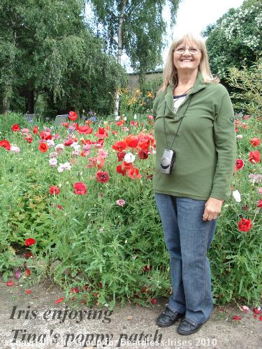 OW G16 Iris enjoying Tina's poppy patch